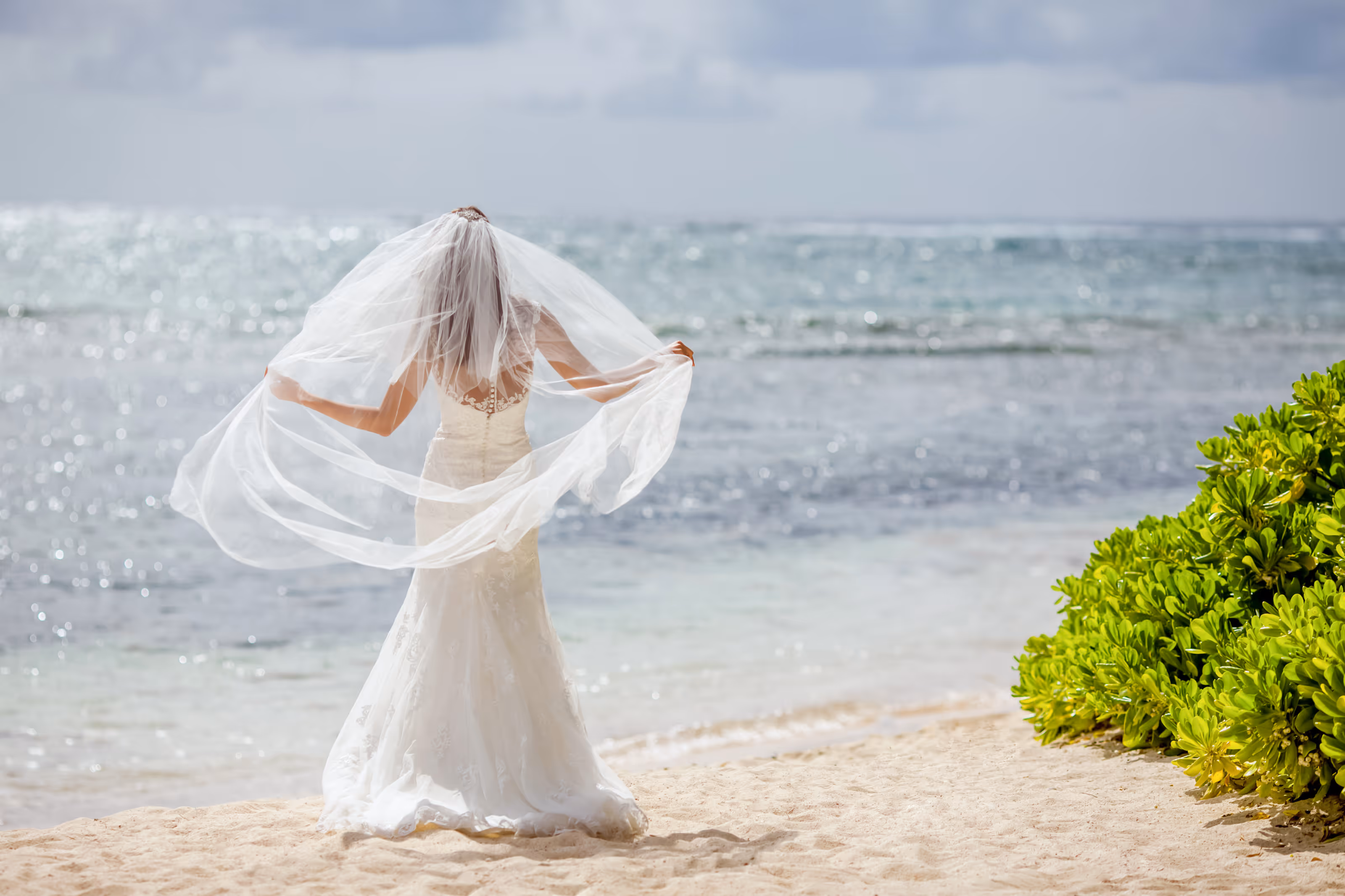 Bride in white wedding dress and veil standing on beach facing ocean with green plants nearby at a Dominican Republic destination wedding.
