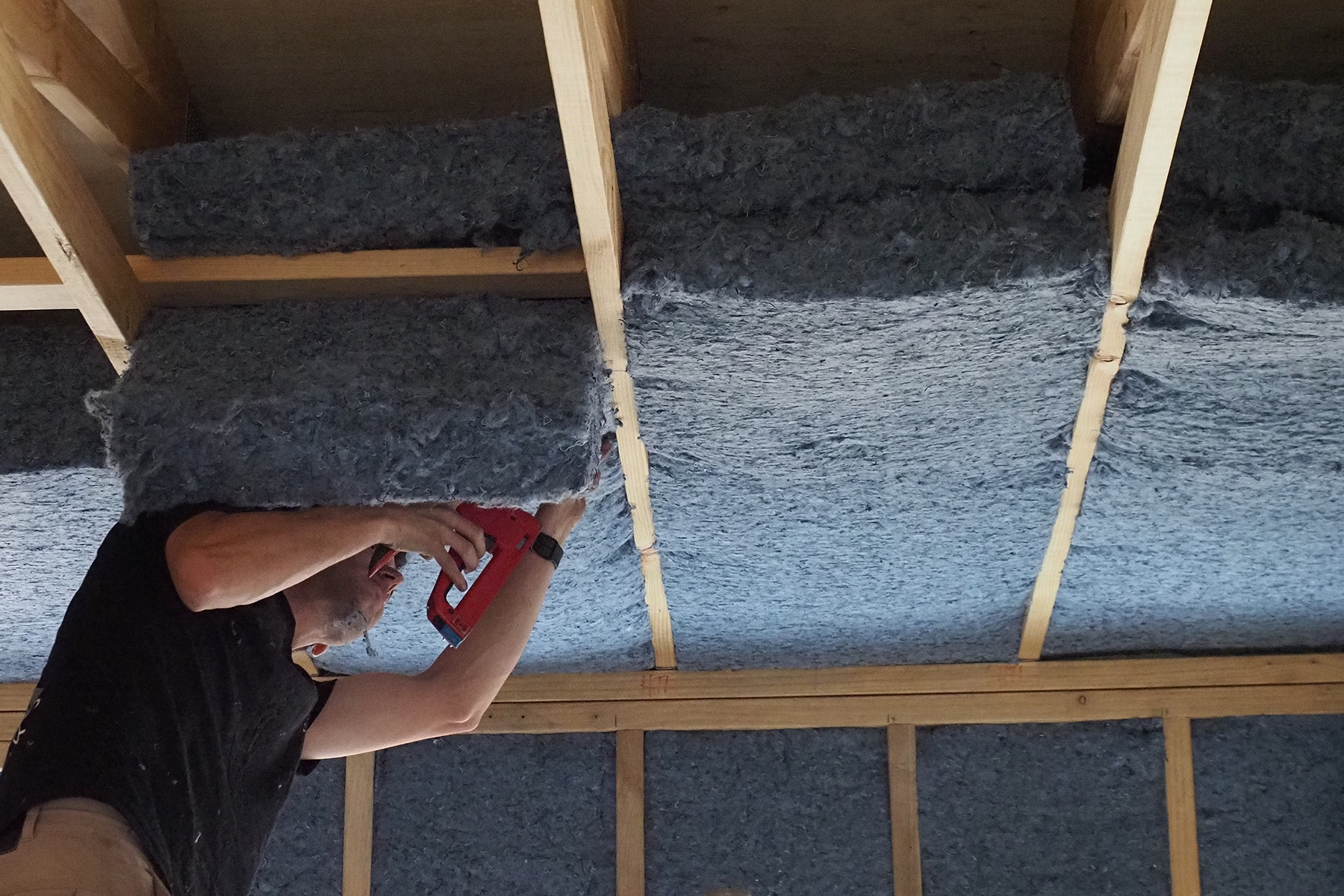 a man is up a ladder. His head is hidden behind a denim blue colour insulation batt the he is installing in a ceiling. He is is using a staple gun to secure it in place
