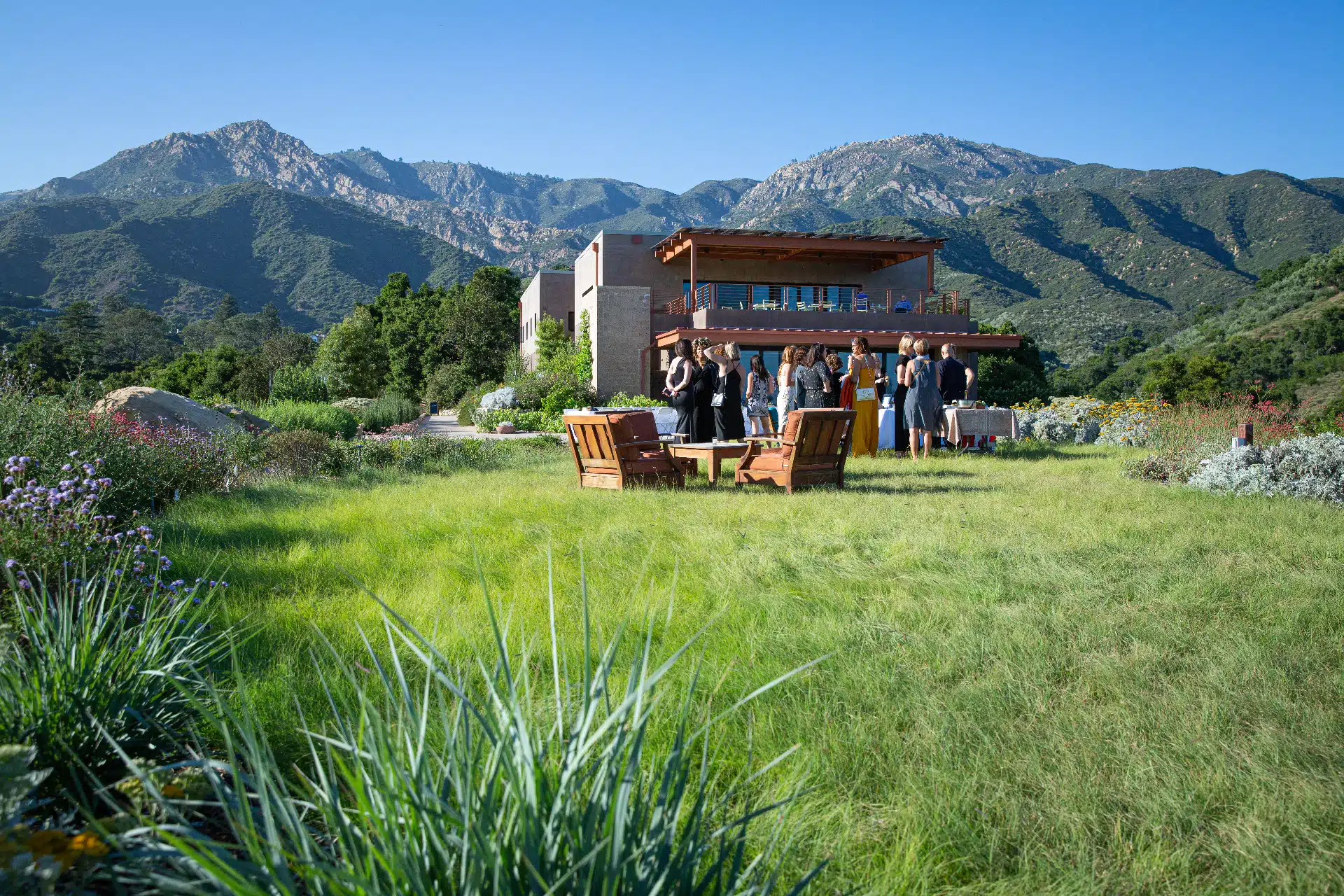 Jennifer Love on garden