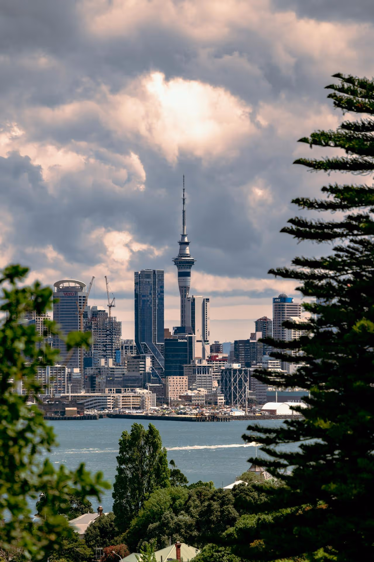 View of Auckland city skyline with Sky Tower, framed by trees and overlooking a body of water under cloudy sky.
