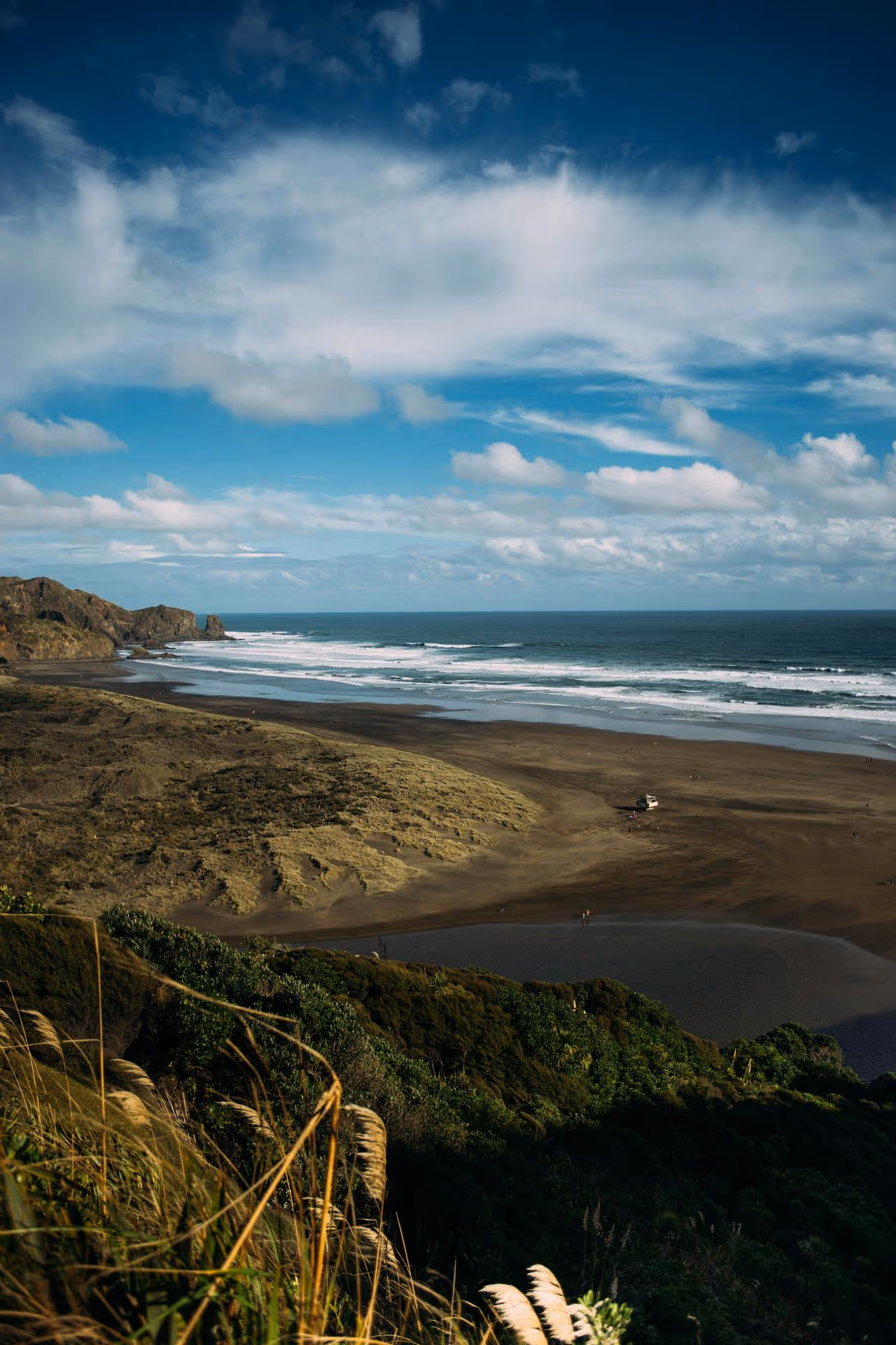 Coastal landscape with a sandy beach, waves crashing, green vegetation in the foreground, and a partly cloudy blue sky.