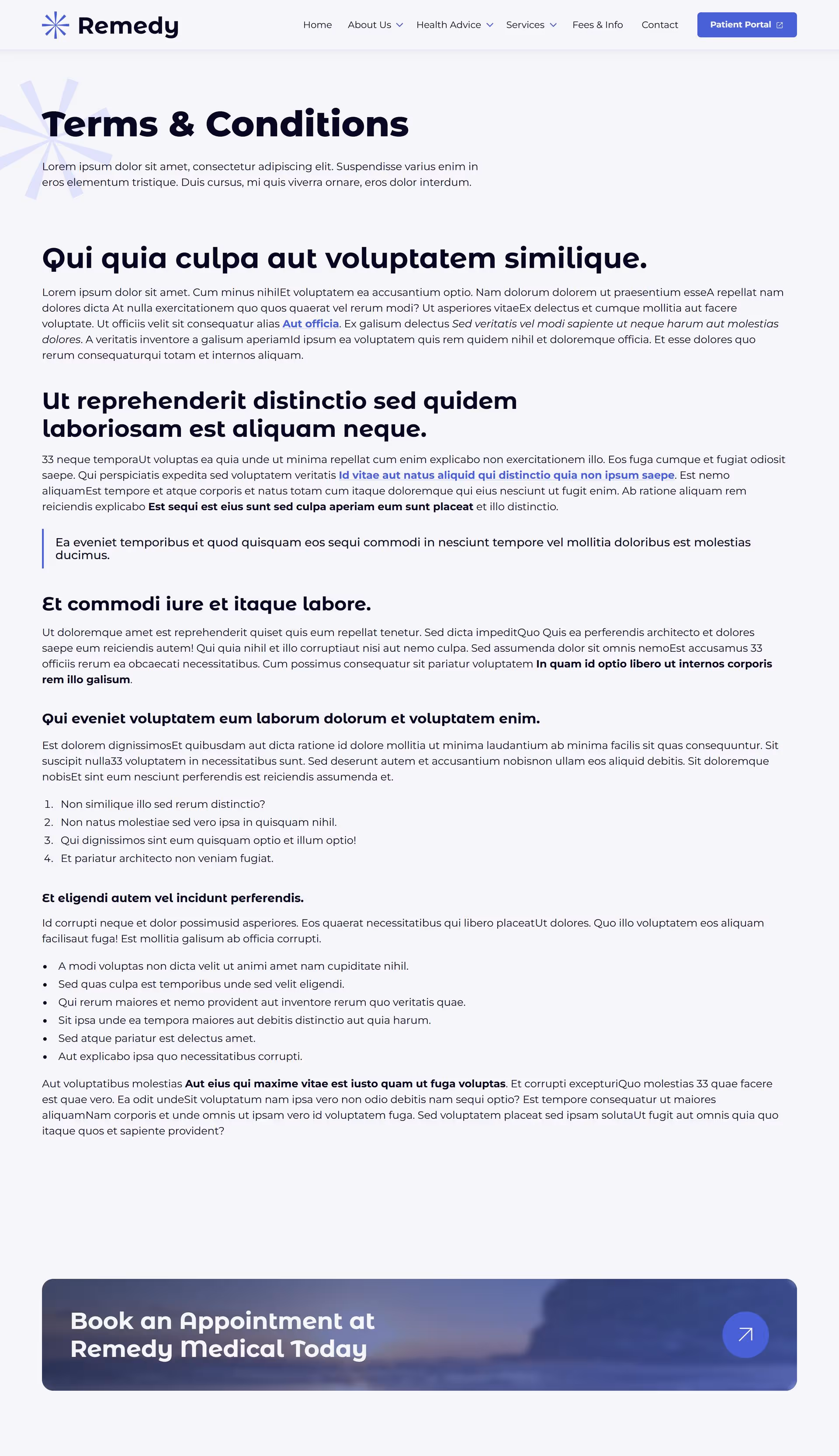 Mockup of the terms & conditions page