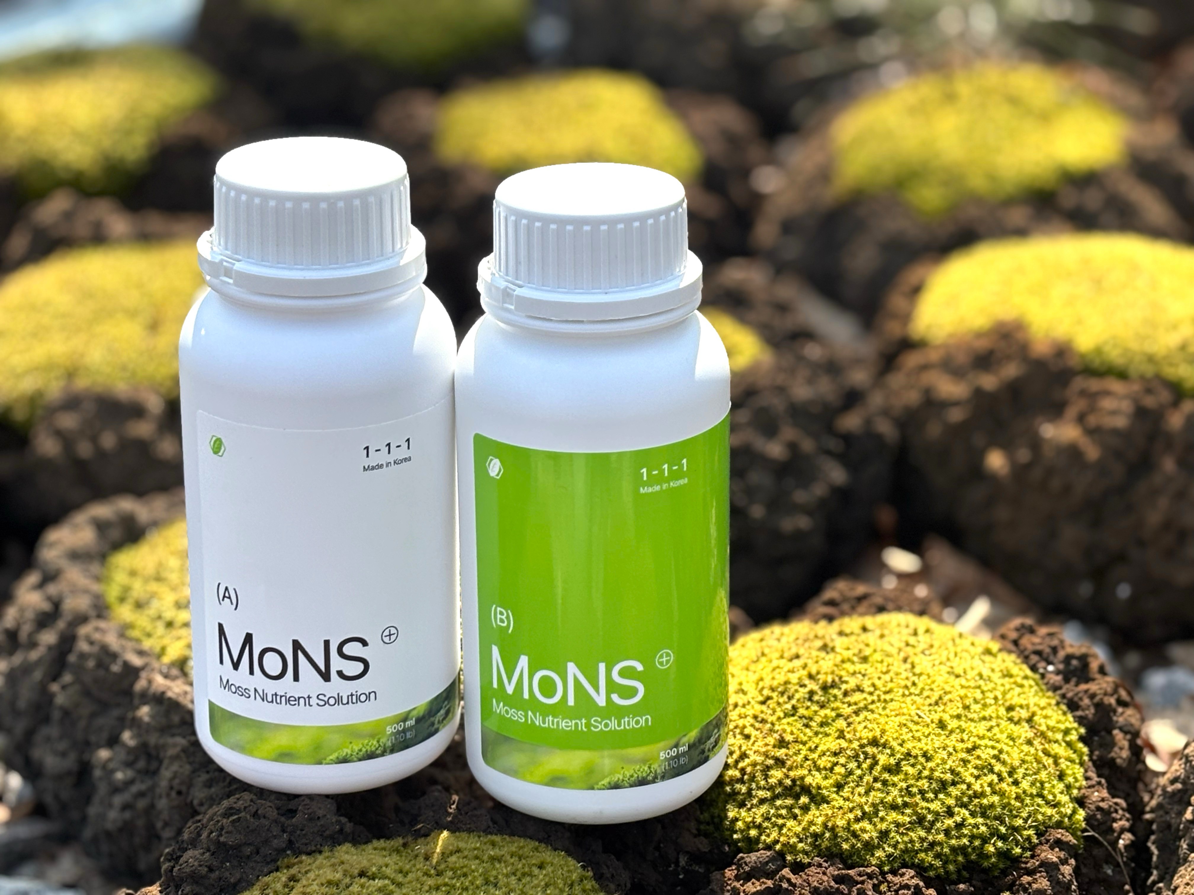 Ecological Restoration Begins with Moss