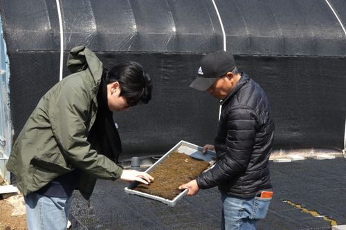 A Strategy for Survival