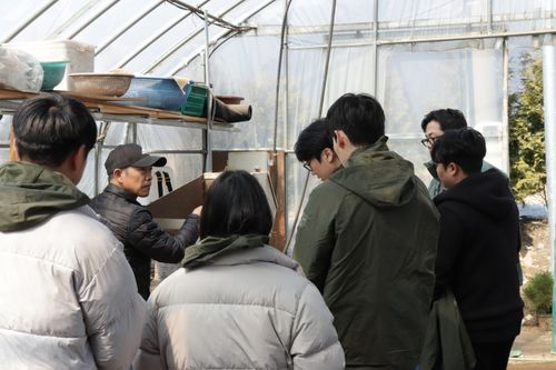 Structural Comparison of Bryophytes and Vascular Plants