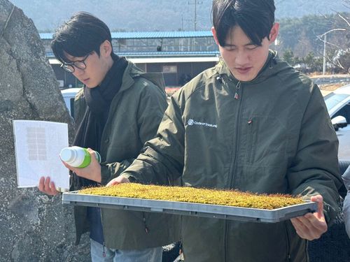 Protonema of Moss under the Microscope