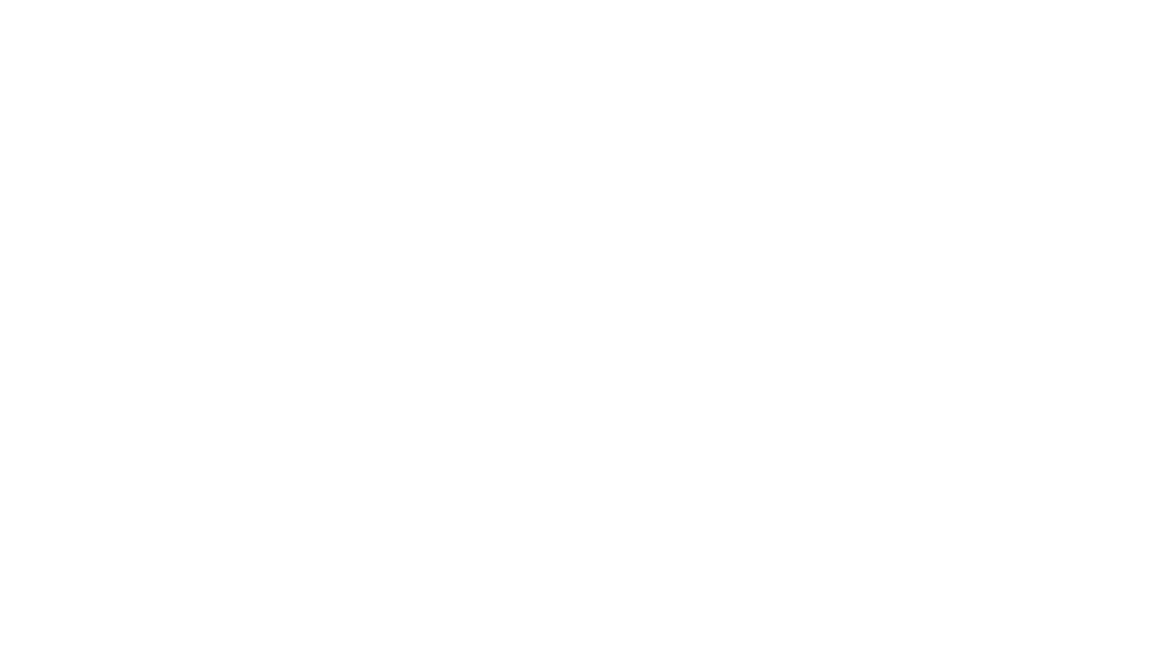 Ariat logo
