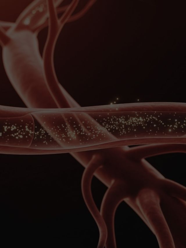 Blood vessels carrying illuminated particles, visualizing the dual-pathway mechanism