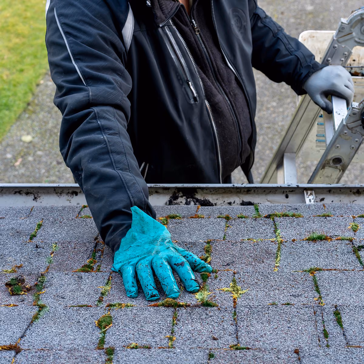 Roof inspection for storm damage and repairs