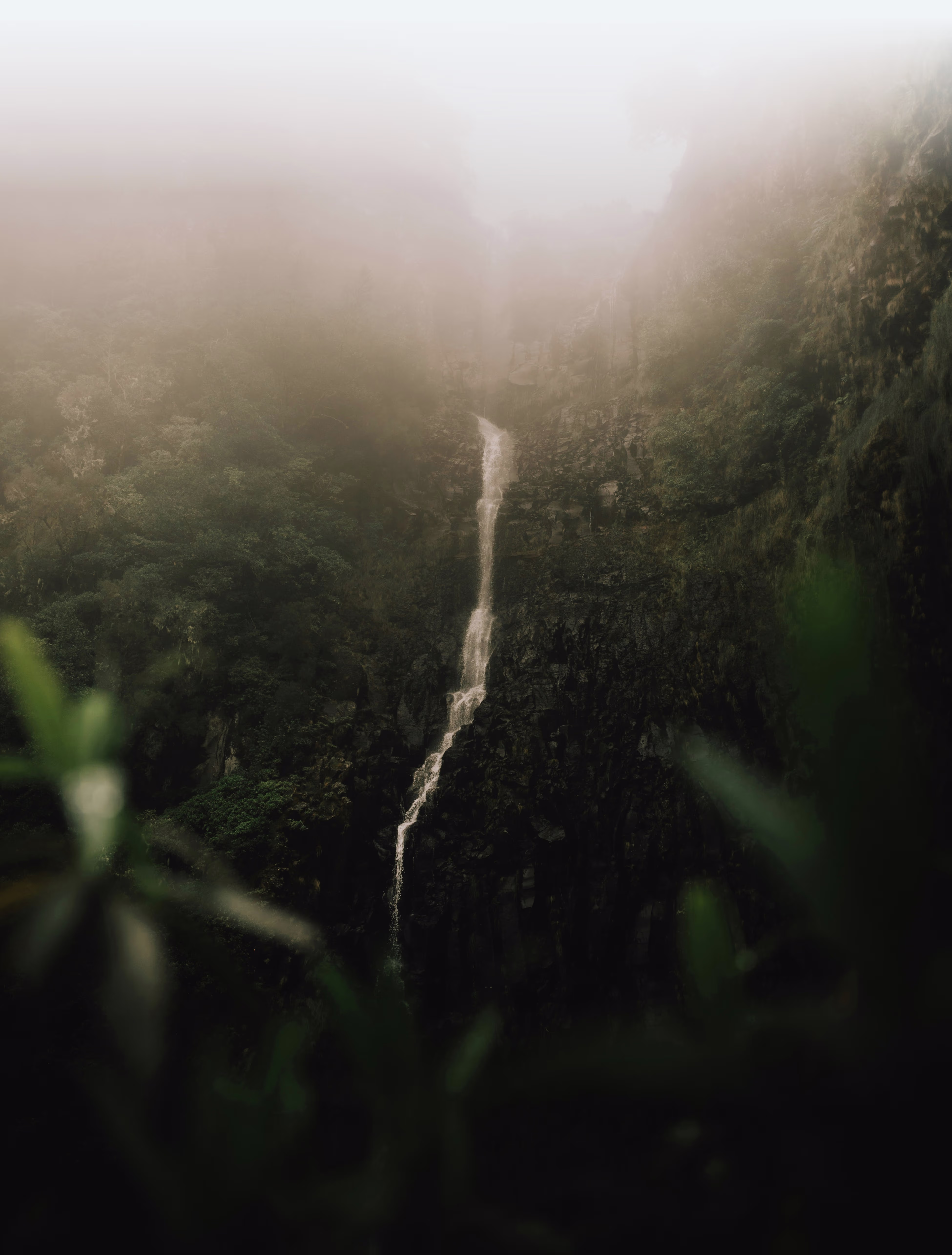 Custom-built tours through Madeira’s top spots