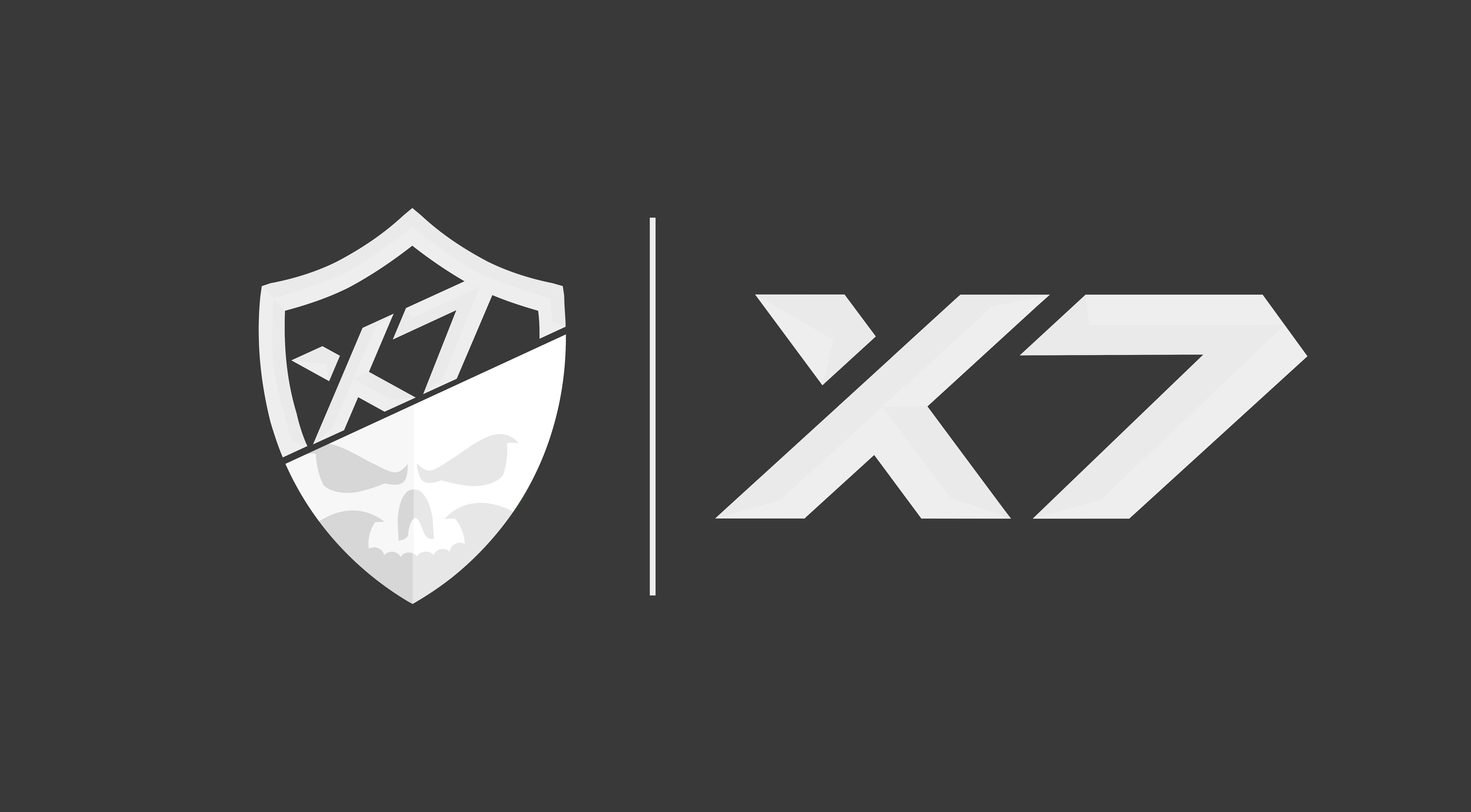 SFA FORMAT LOGO X7