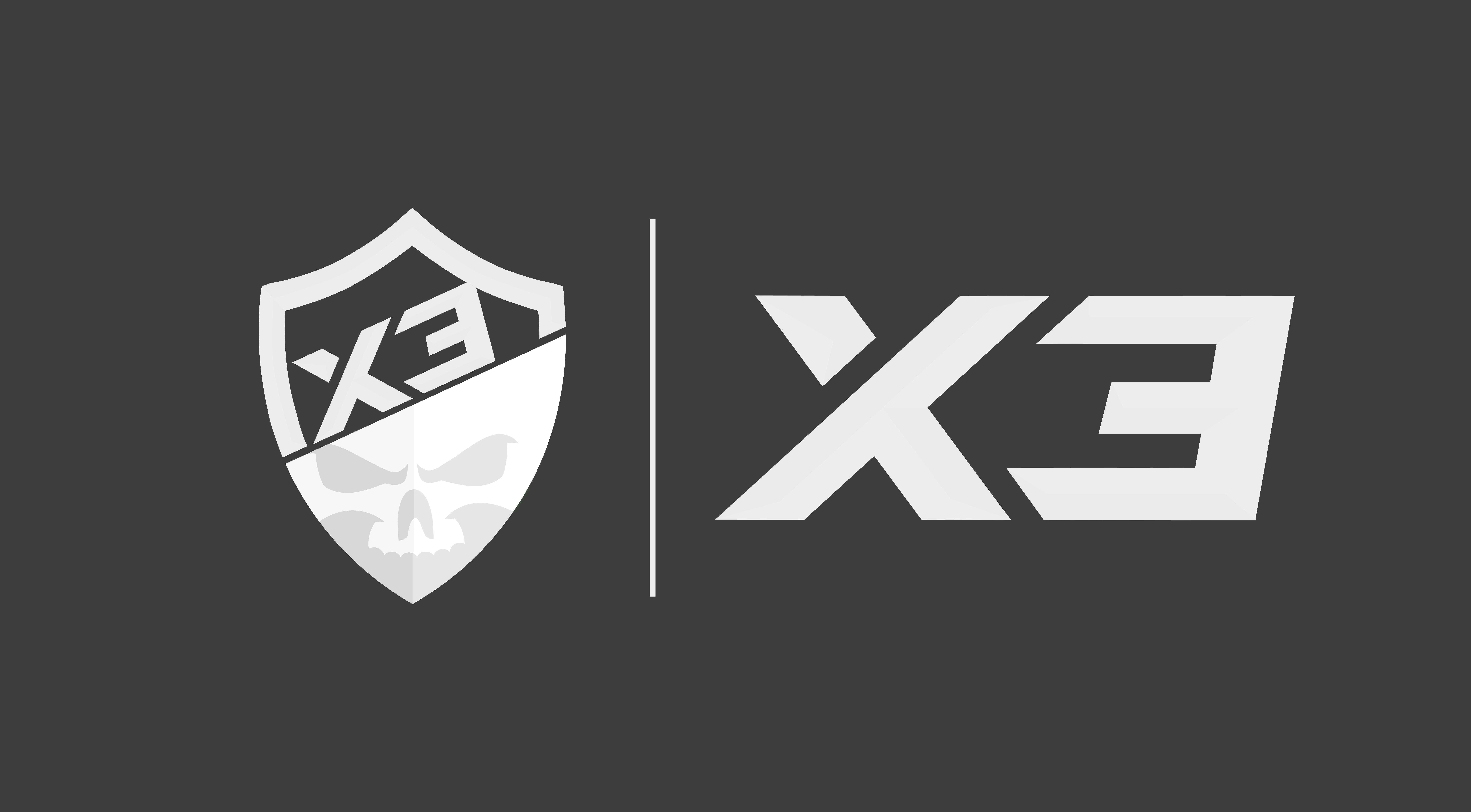SFA FORMAT LOGO X3