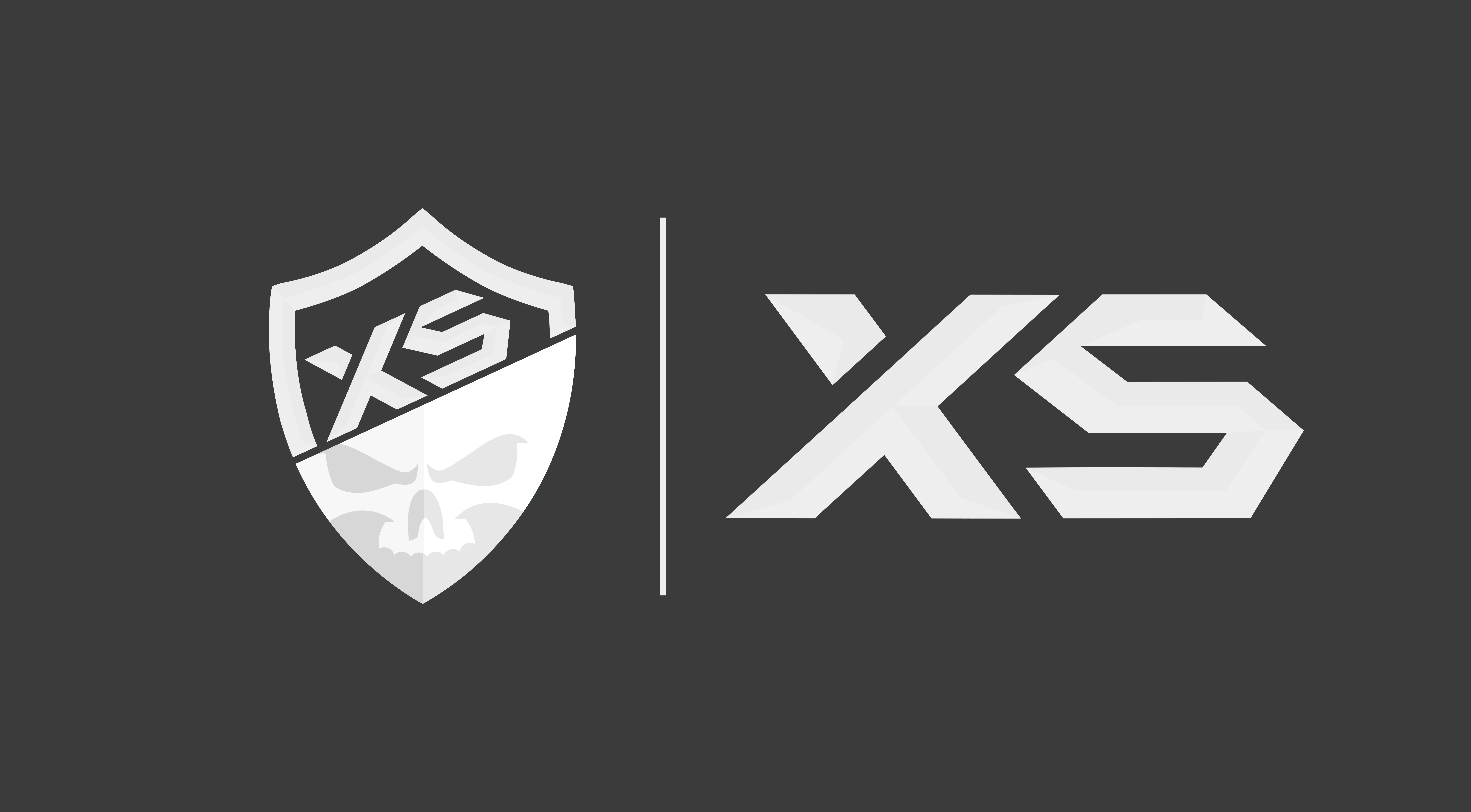 SFA FORMAT LOGO X5