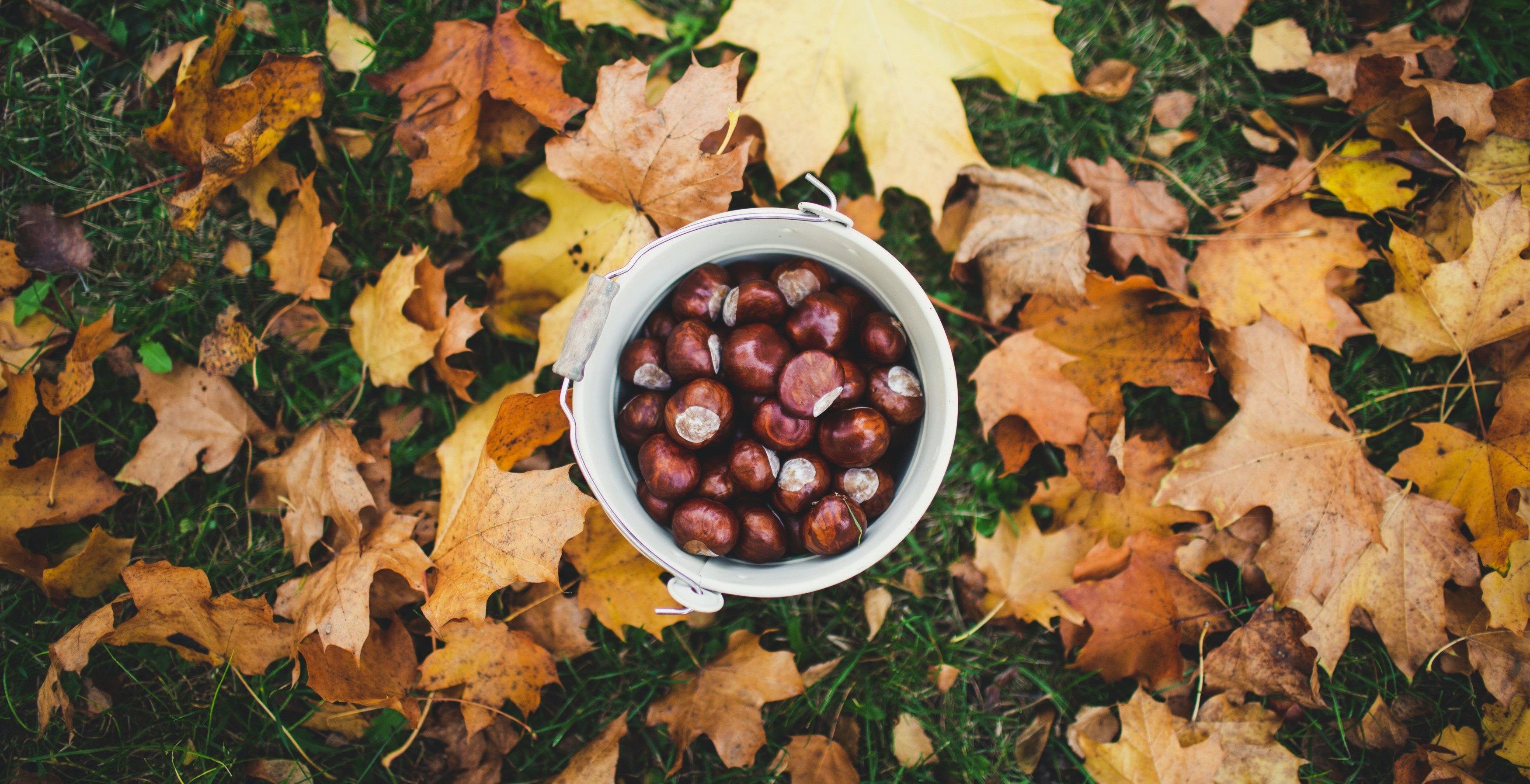 Hello Delphine, Petite clarification pour être sûre de bien te répondre : tu parles de quel Forms exactement ? Forms conseillers (demande d’avis clients) : → Non, il n’est pas totalement à jour en termes de volume d’avis. → Les conseillers ont déjà été relancés. → À noter : plusieurs avis reçus en ligne concernent d’autres filiales, ce qui fausse un peu le suivi. Forms jury (TOP 3 best avis) : → Oui, c’est OK, les 5 membres du jury ont bien rempli le formulaire. Concernant la communication du challenge : Présentation initiale lors d’une réunion avec Marie et les ambassadeurs pour expliquer les objectifs et le dispositif. Puis communication par mail à l’ensemble du réseau (emailing envoyé par JA). De mon côté, j’ai ensuite envoyé des mails de follow-up pour savoir comment ils souhaitaient répondre + mis à disposition des vidéos tutos et supports sur l’intranet AGP. Dis-moi si tu pensais à un autre point ou s’il te manque une info. Merci, Maria