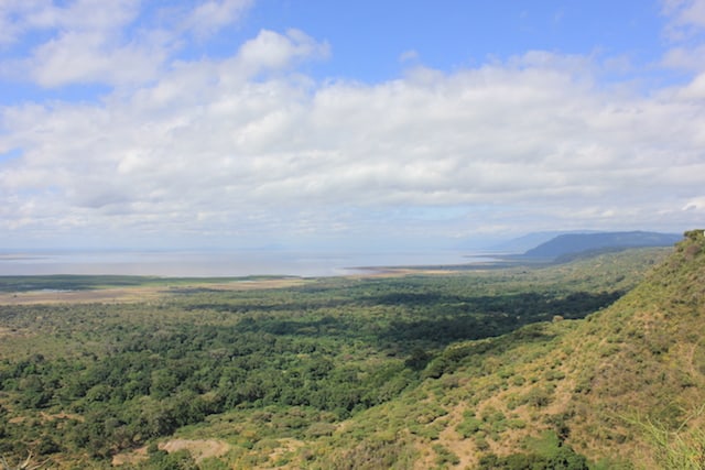 Lake Manyara-17