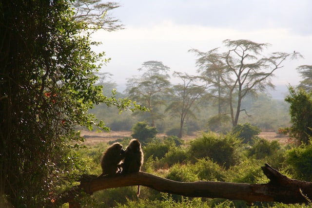 Arusha-National-Park