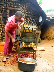 Traditional Coffee Making