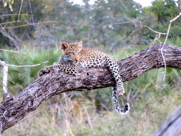 Tanzania Honeymoon