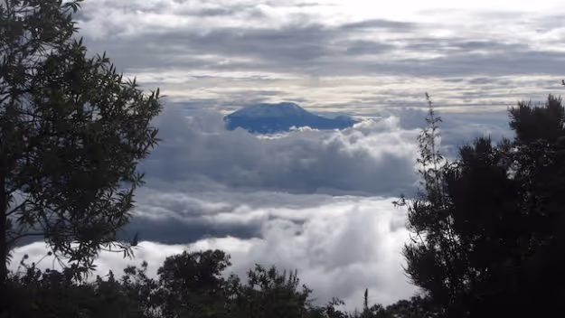 Tanzania Honeymoon