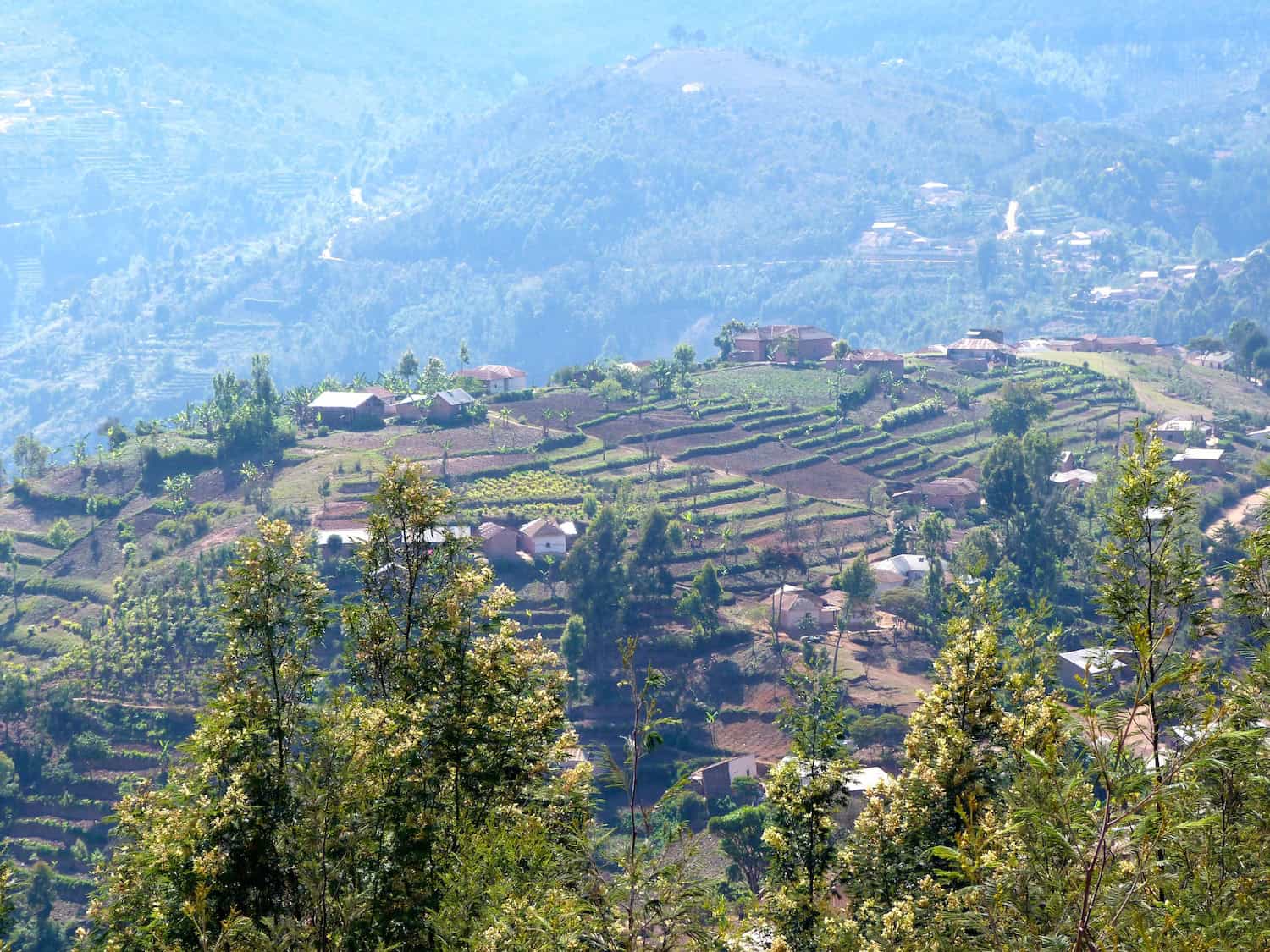 Usambara-Mountains-1
