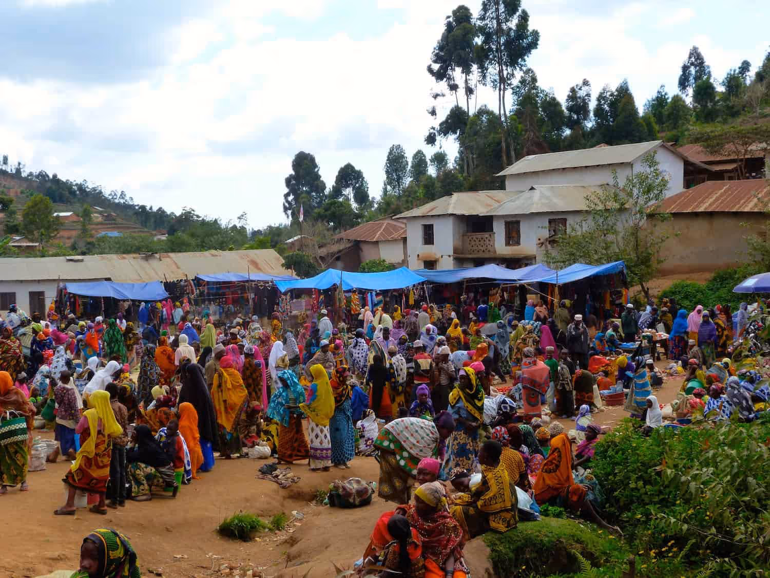 Usambara-Mountains-Mambo