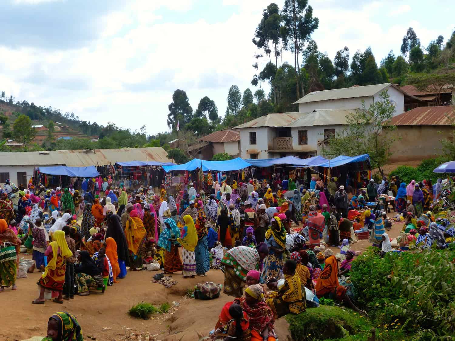 Usambara-Mountains-Mambo