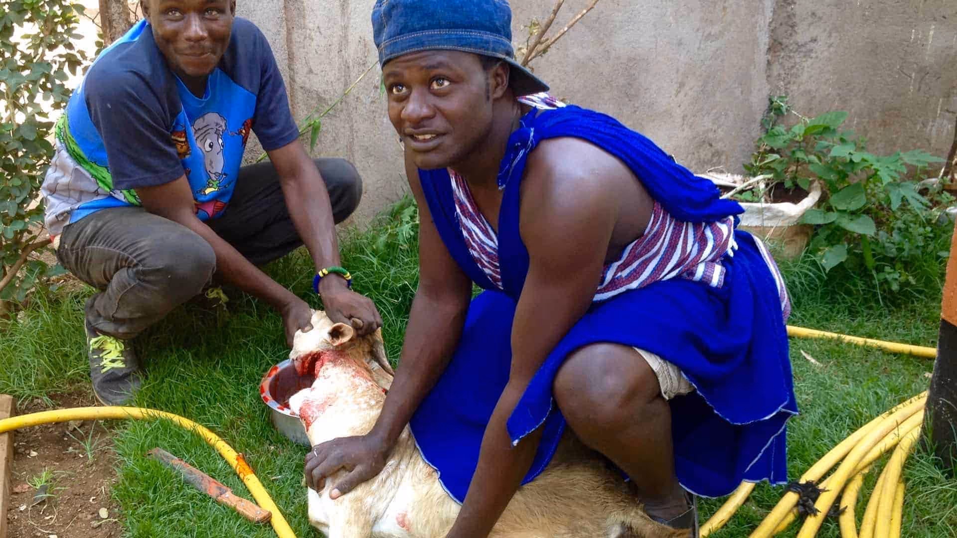 Slaughtering Goat