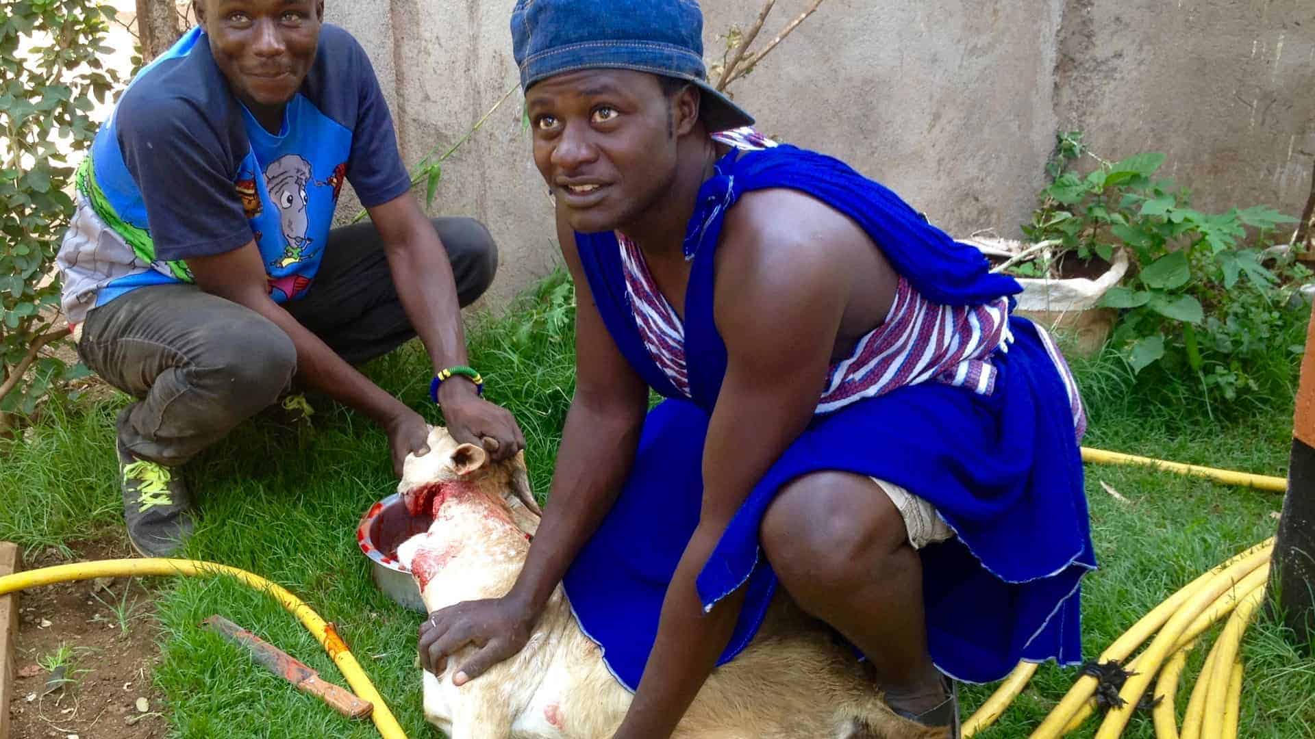 Slaughtering Goat