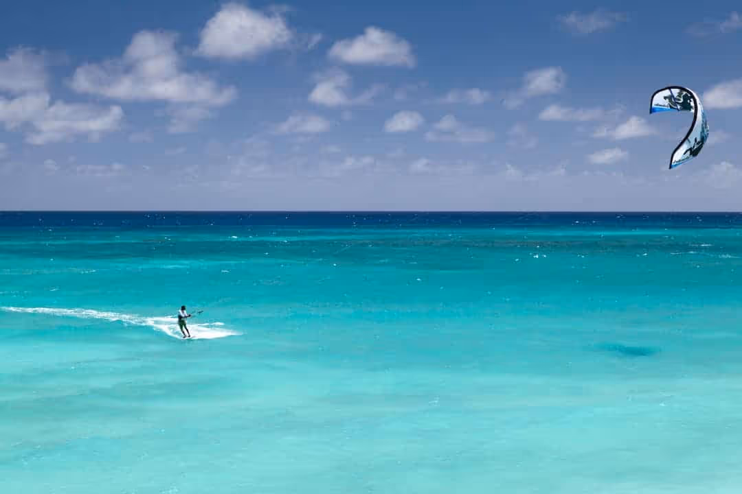 Safari Zanzibar