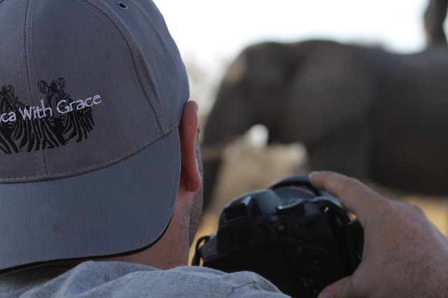 Tips-Travel-Africa-Elephants