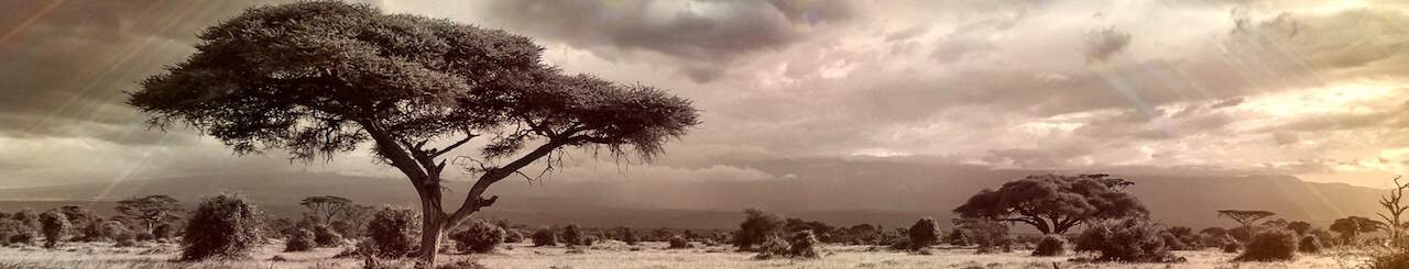 Tanzania-Honeymoon-2