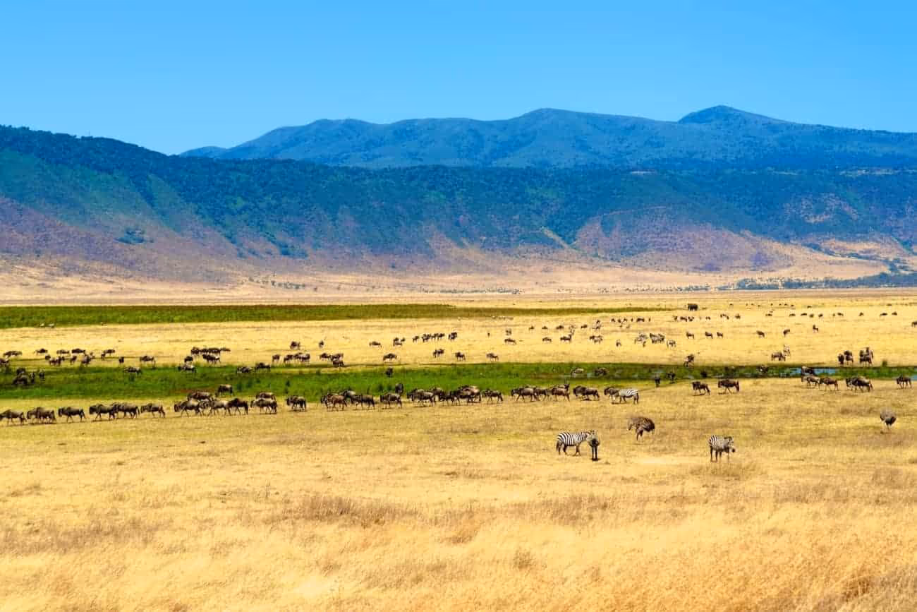 Ngorongoro-Crater