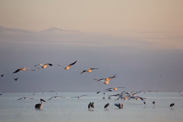 Lake Manyara-11