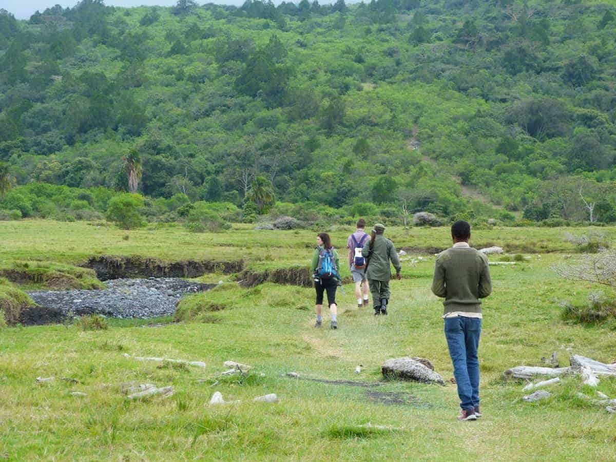 Arusha-National-Park-Walking-Safari