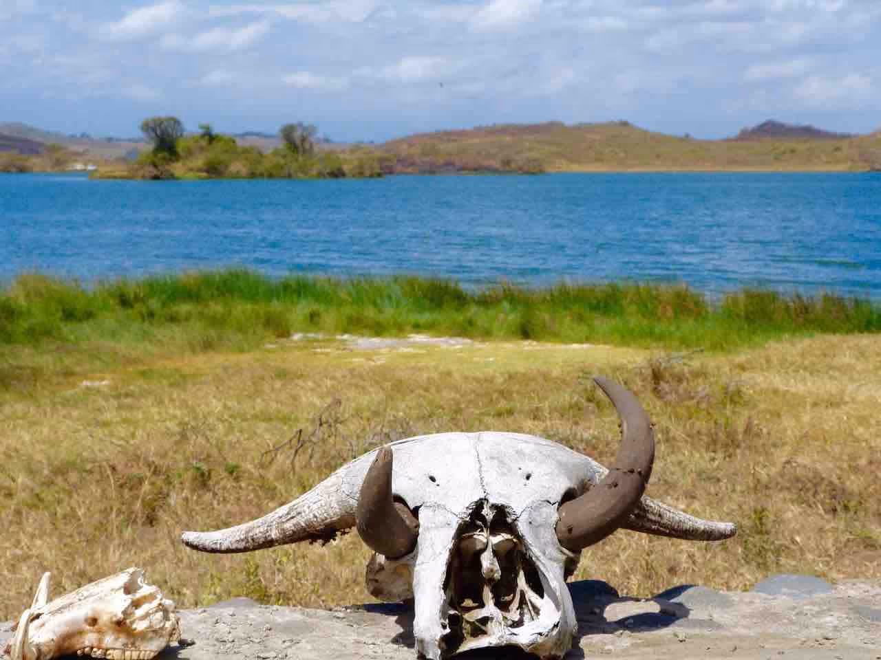 Arusha-National-Park-5