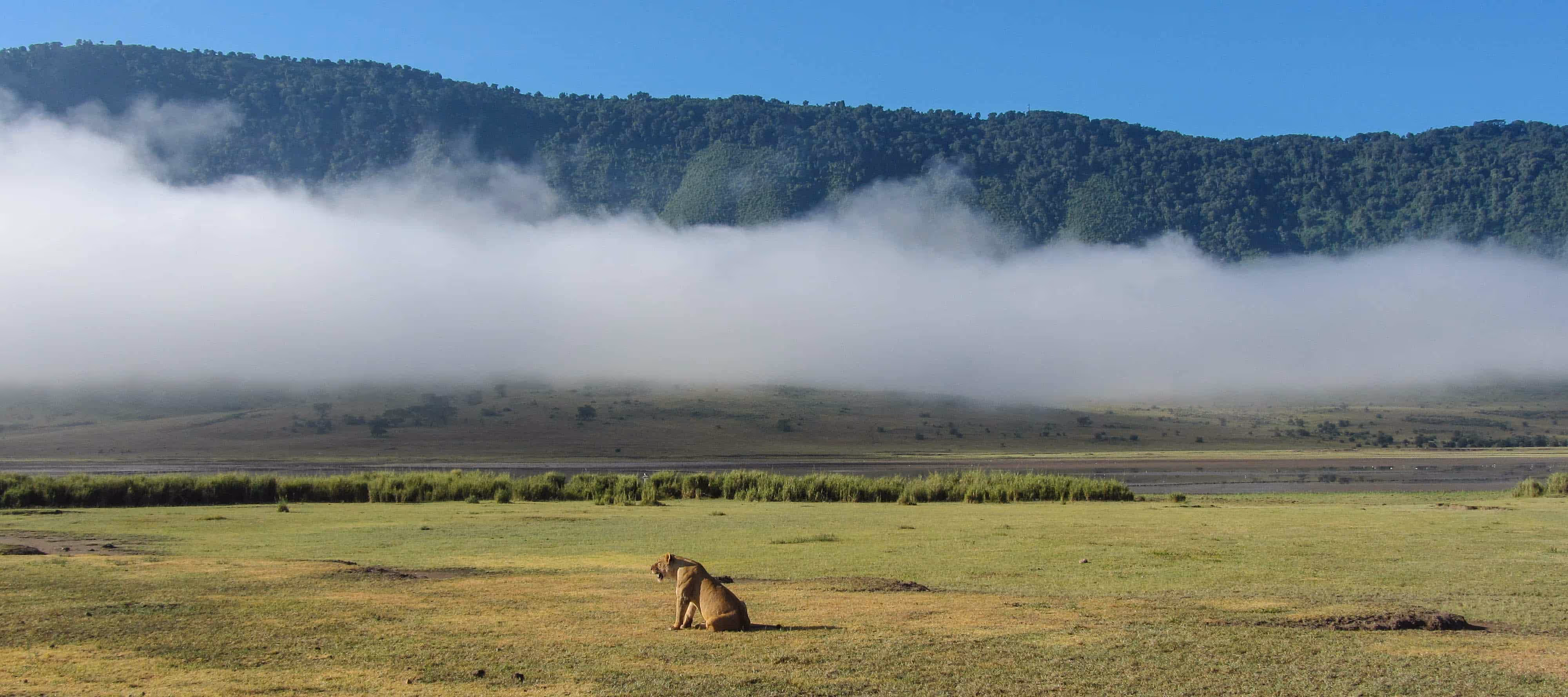 Kilimanjaro Climb Package