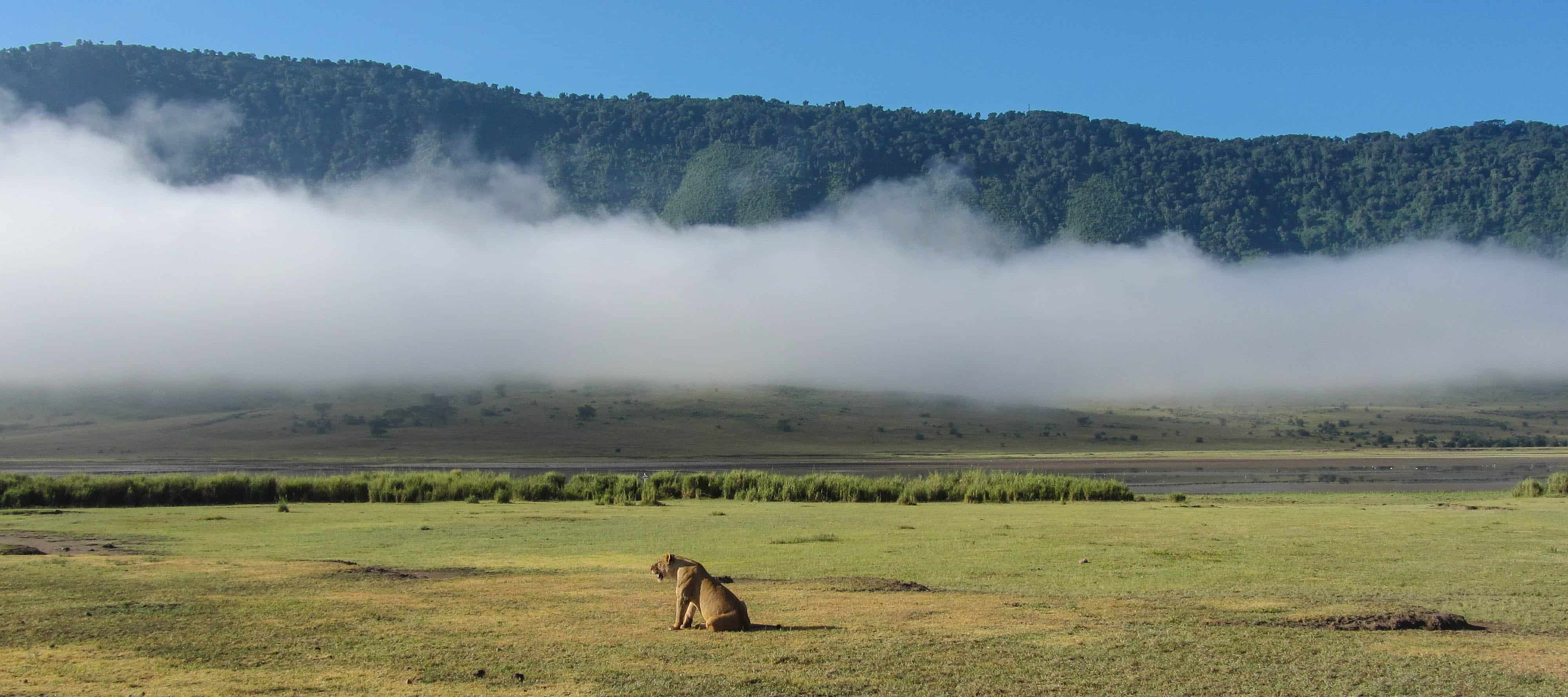 Kilimanjaro Climb Package