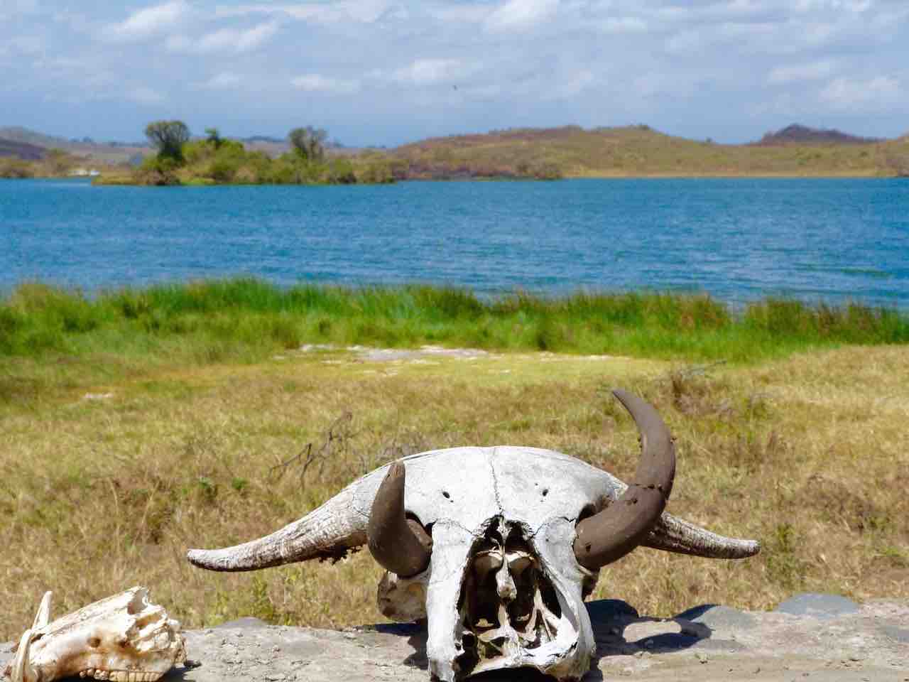 Arusha-National-Park-5
