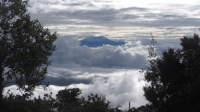 Tanzania-Honeymoon-1
