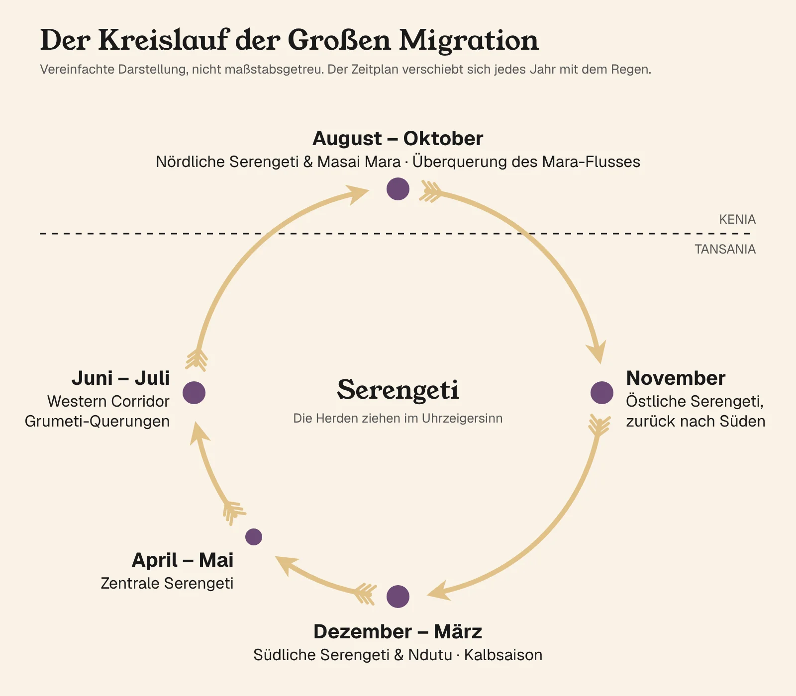 Karte der Großen Migration: südliche Serengeti Dezember bis März, zentrale Serengeti April bis Mai, Western Corridor Juni bis Juli, nördliche Serengeti und Masai Mara August bis Oktober, östliche Serengeti im November