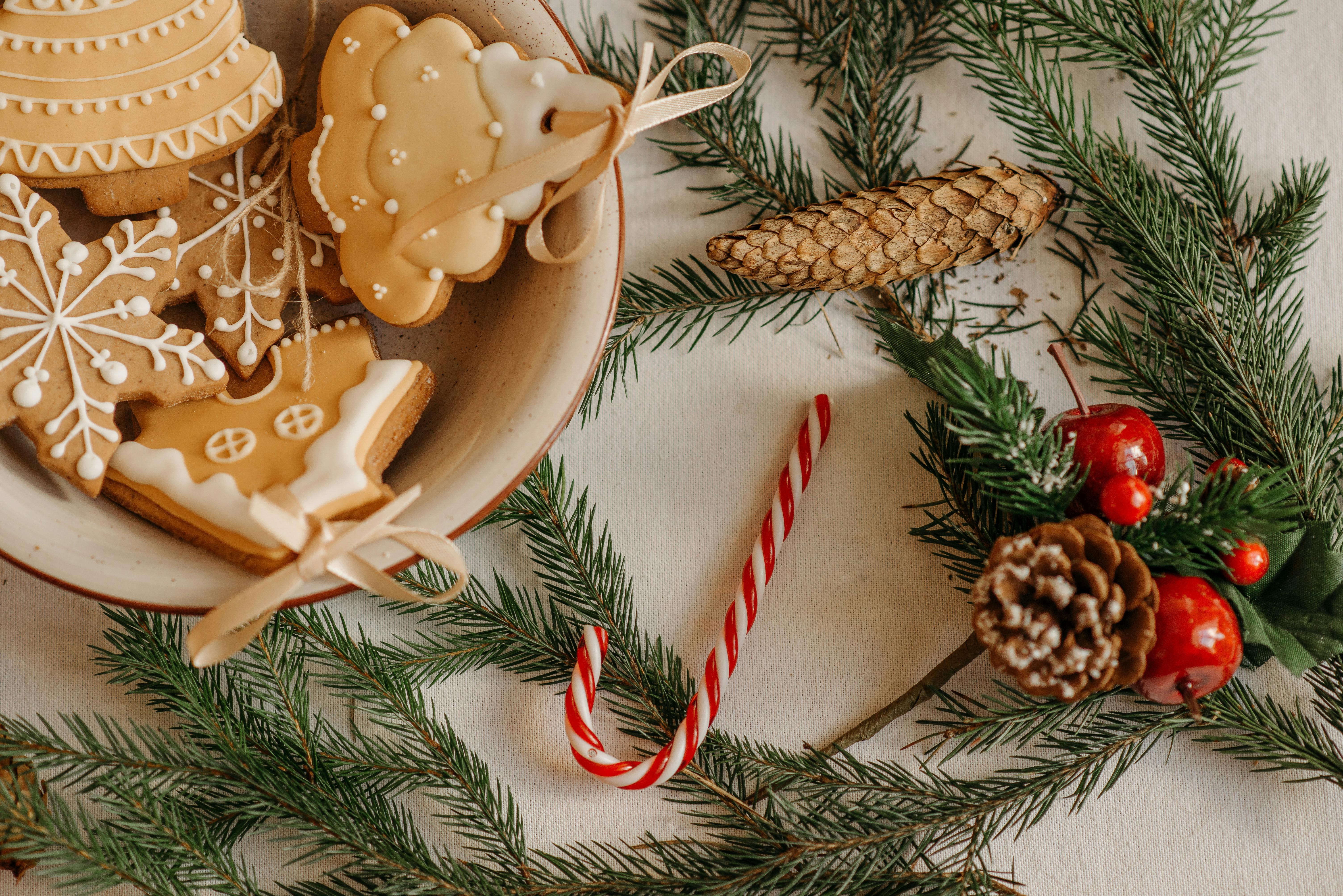 Plate of beige sugar cookies next to holiday pine cones, candy cane, and berries
