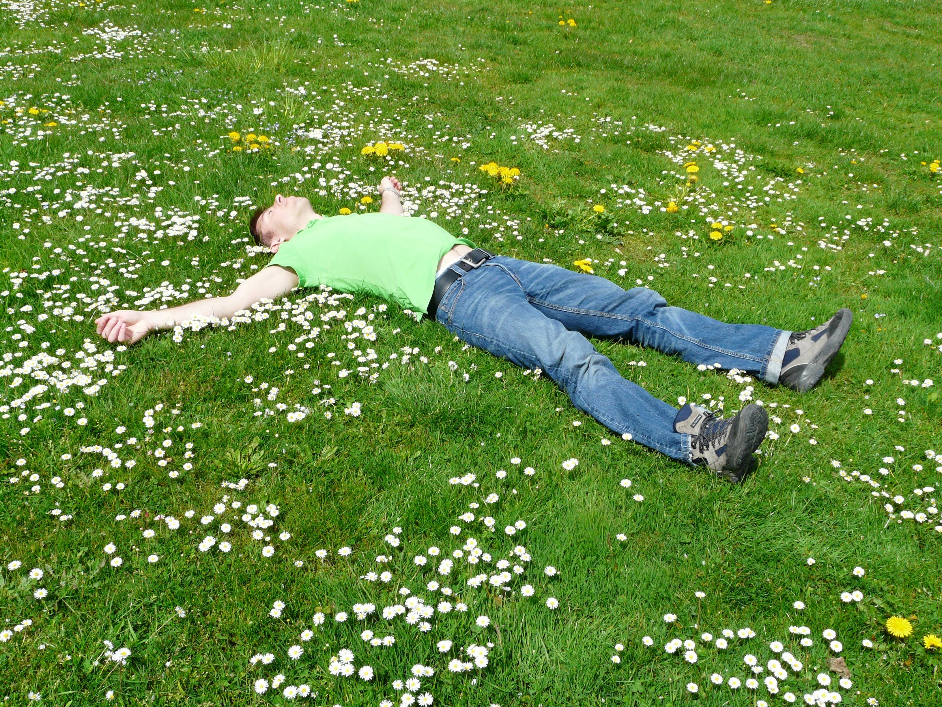 Man lying in field of wildflowers