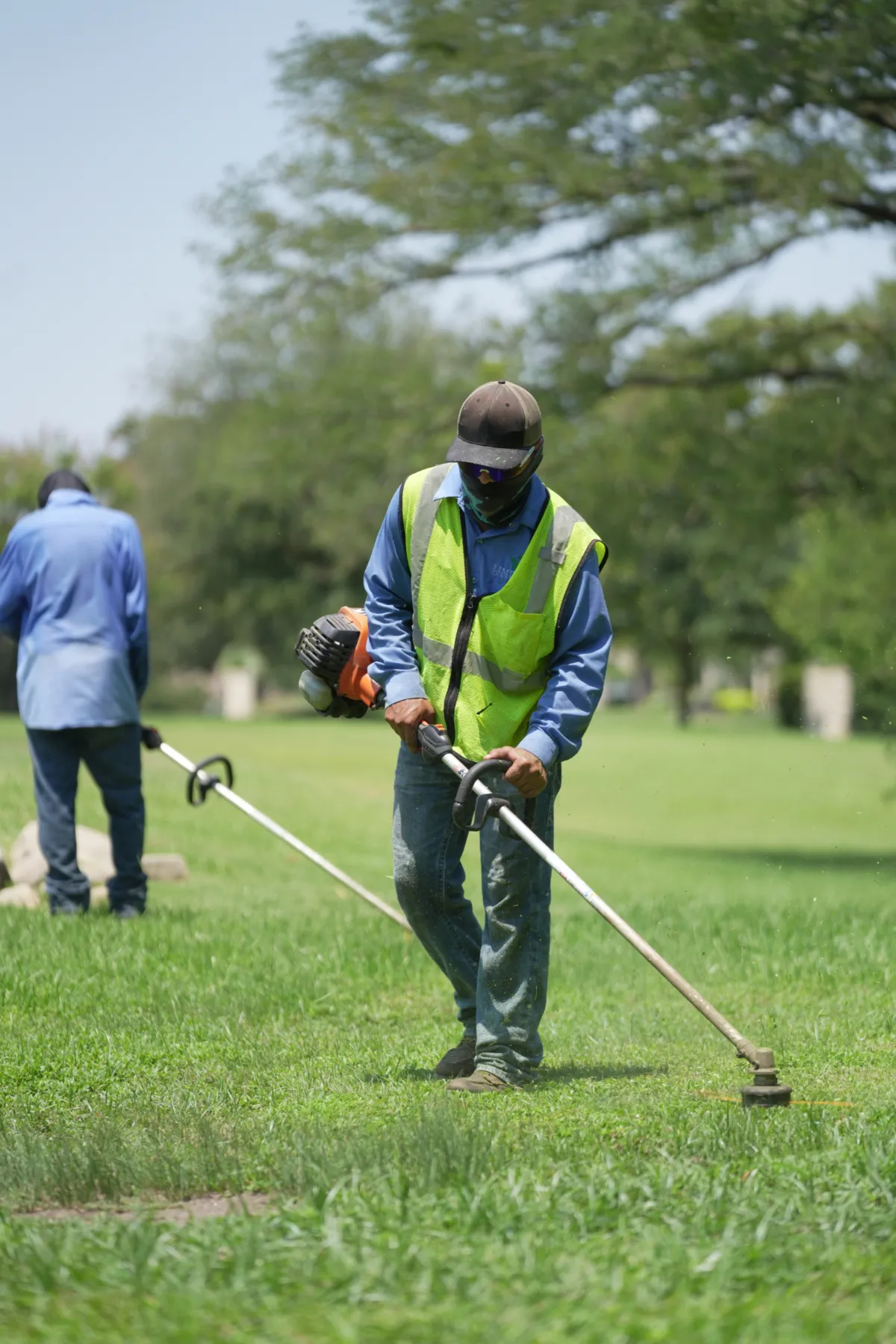 commercial landscape maintenance