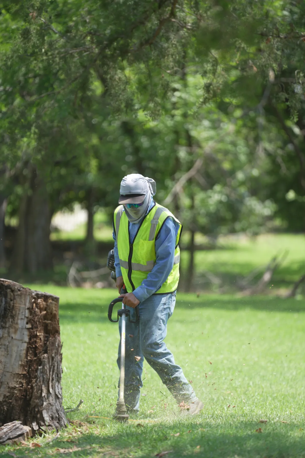 commercial landscaping services