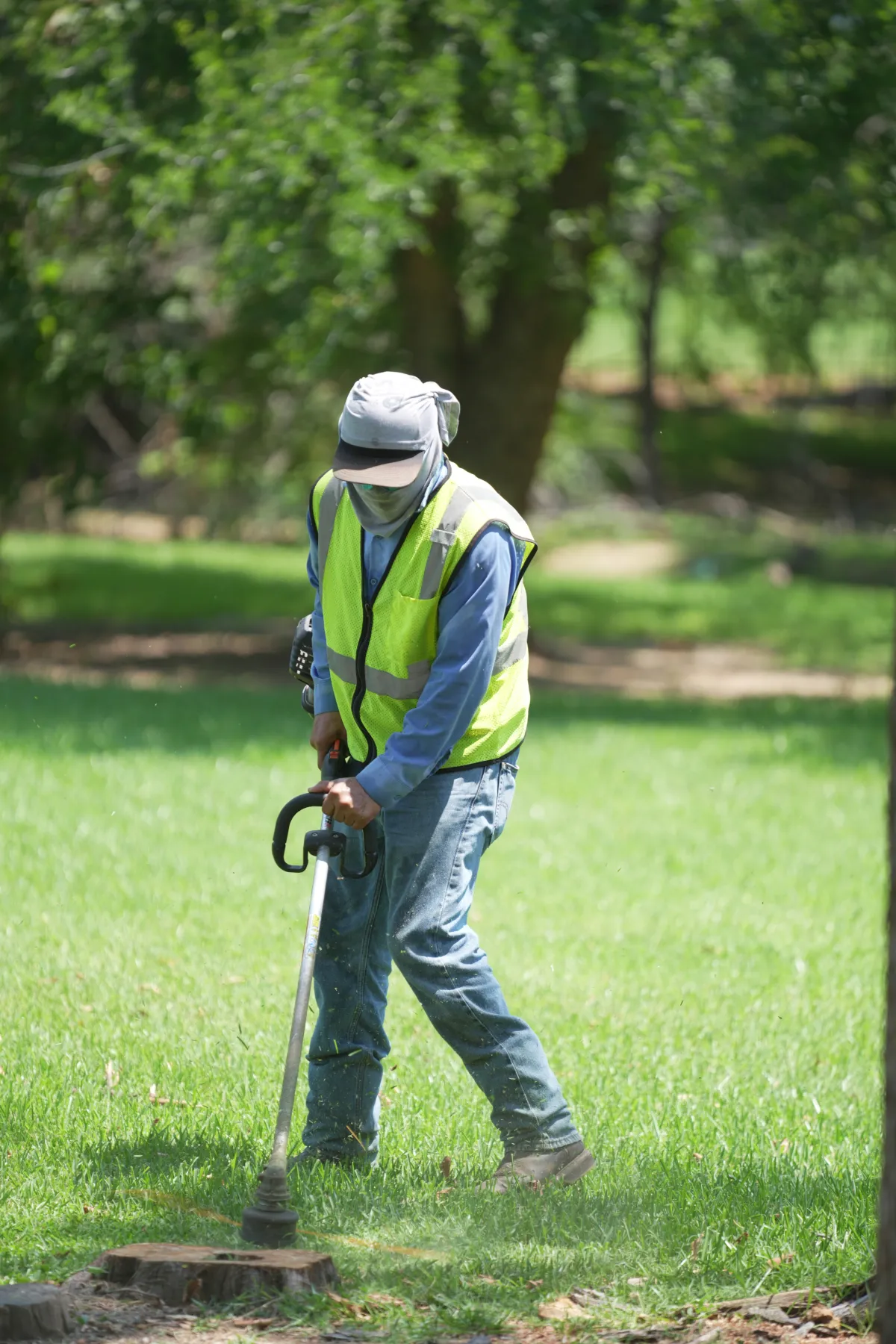 Landscaping crew member trimming grass with a string trimmer