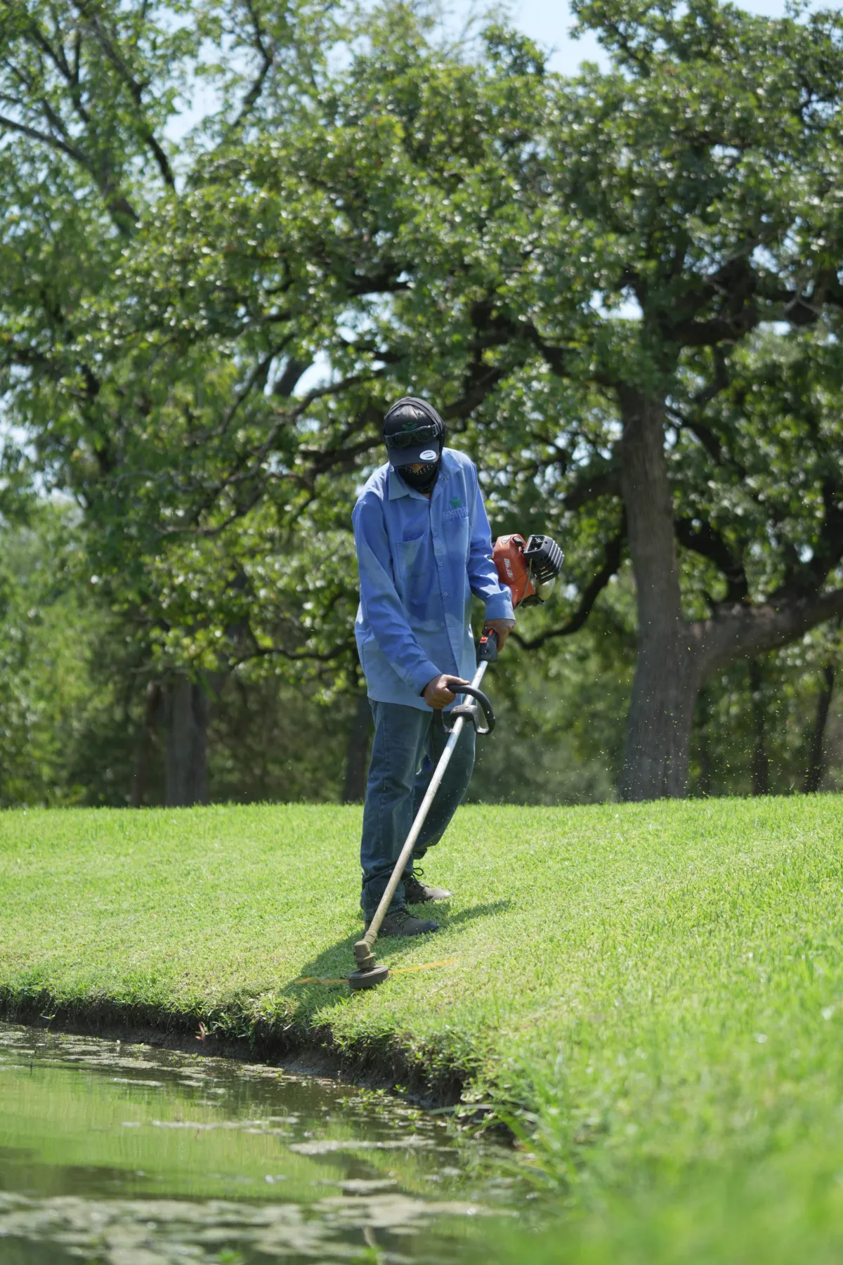 Landscaping crew member trimming grass around a tree