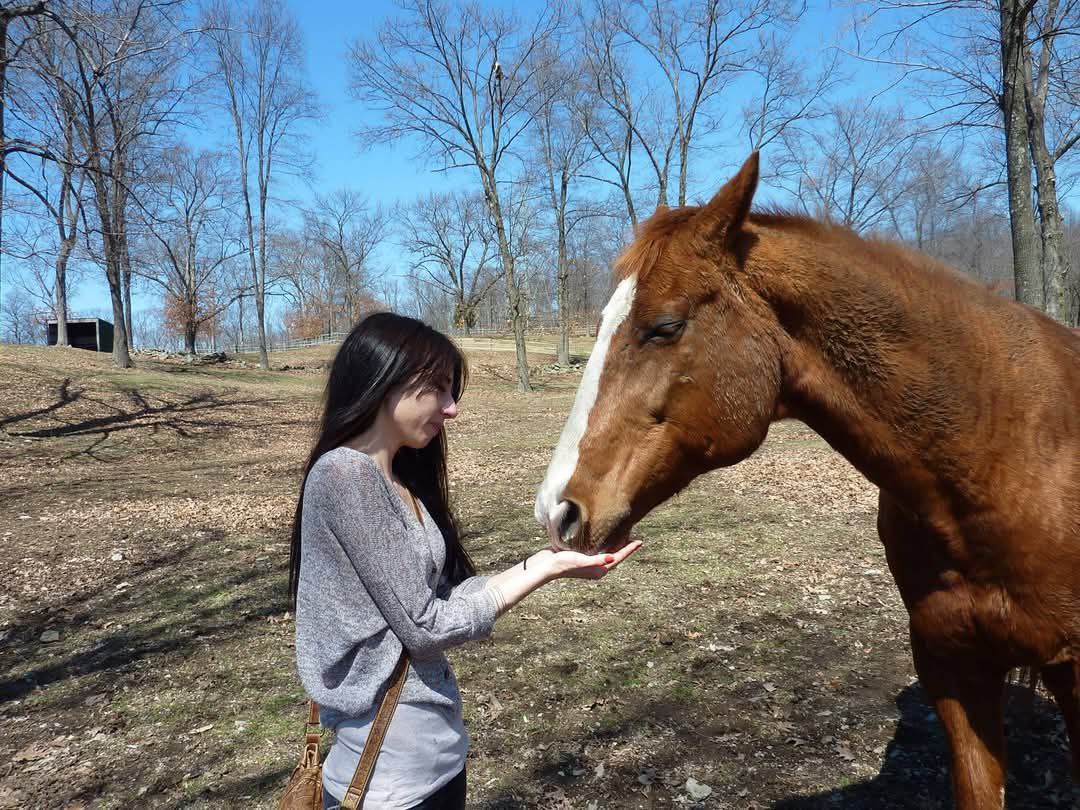 Reuniting with my childhood horse, Perry in upstate NY.