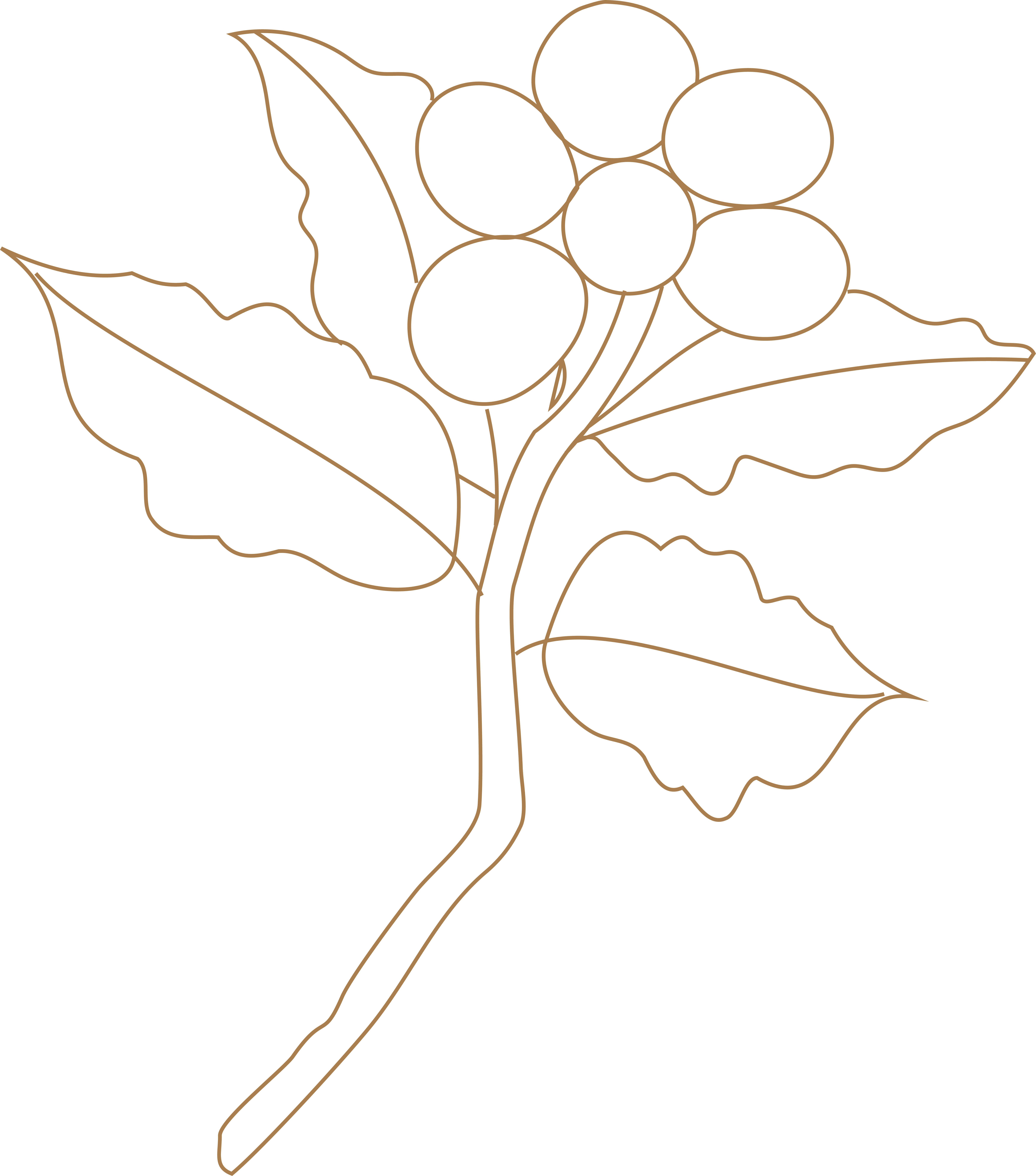 Sufficient Grounds - coffee branch and berries branding illustration