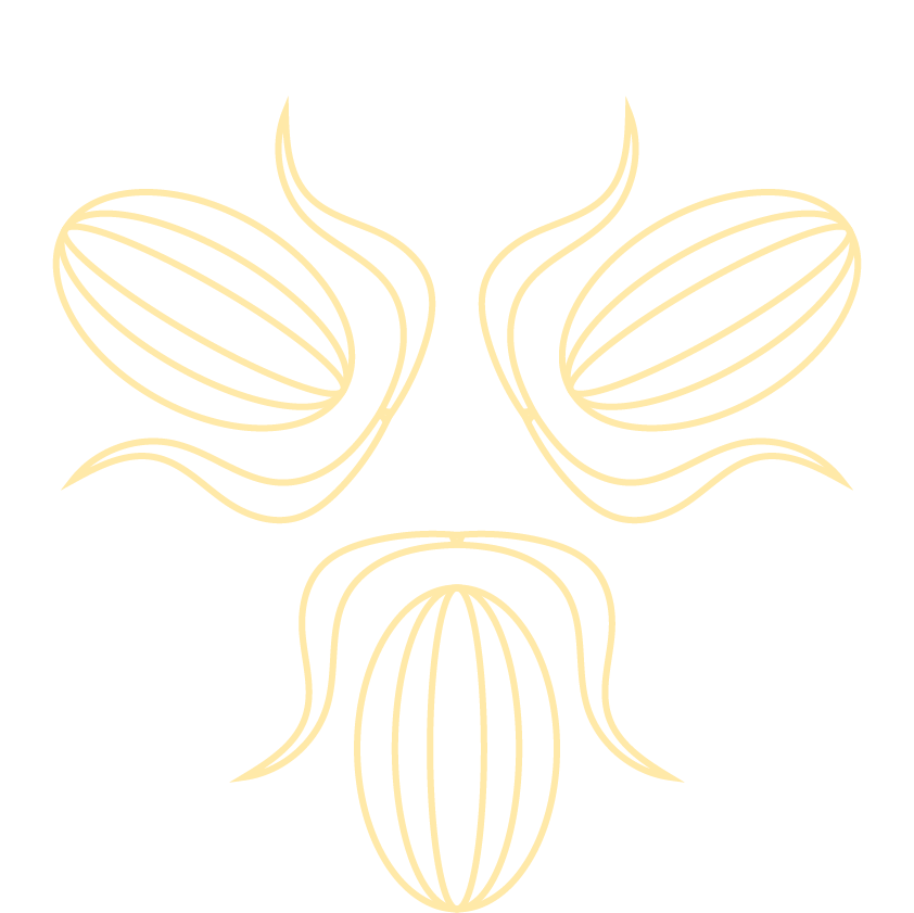  Food of the Gods triquetra Cacao logo