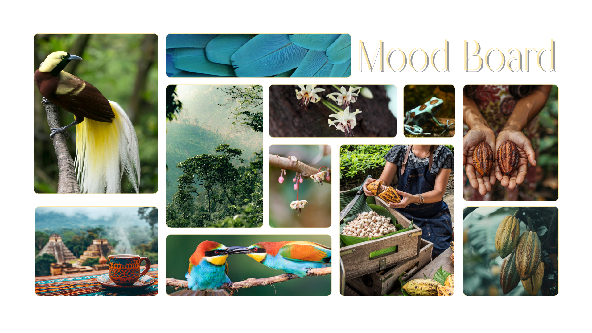  Food of the Gods wordmark